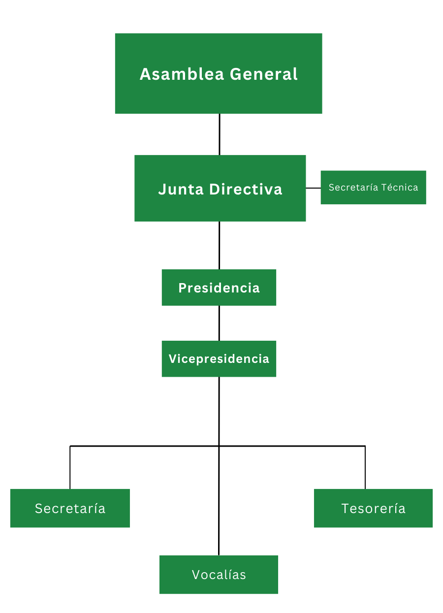 Estructura organizativa